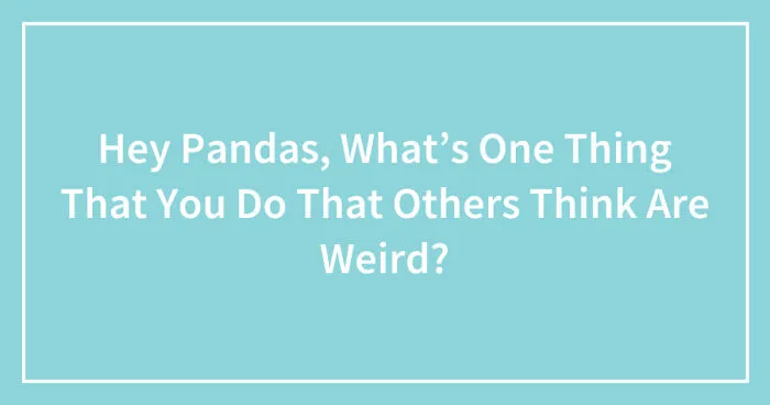 Hey Pandas, What’s One Thing That You Do That Others Think Are Weird? (Closed)