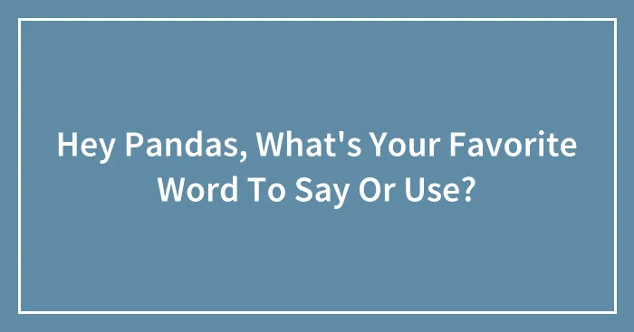 Hey Pandas, What's Your Favorite Word To Say Or Use? (Closed)