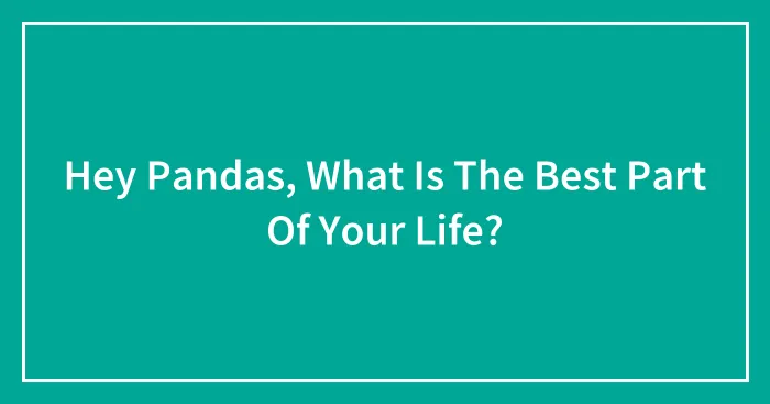 Hey Pandas, What Is The Best Part Of Your Life? (Closed)