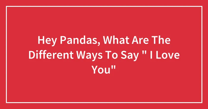 Hey Pandas, What Are The Different Ways To Say " I Love You"