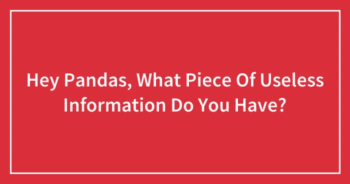 Hey Pandas, What Piece Of Useless Information Do You Have? (Closed)
