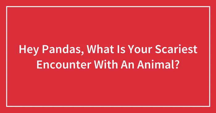 Hey Pandas, What Is Your Scariest Encounter With An Animal? (Closed)