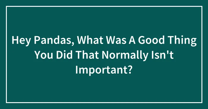 Hey Pandas, What Was A Good Thing You Did That Normally Isn't Important?
