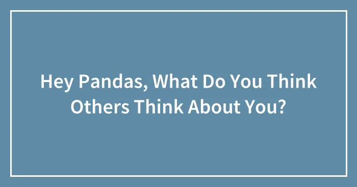 Hey Pandas, What Do You Think Others Think About You? (Closed)