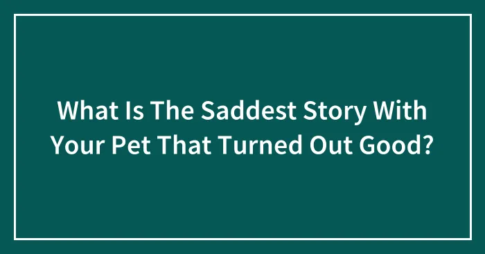 What Is The Saddest Story With Your Pet That Turned Out Good?