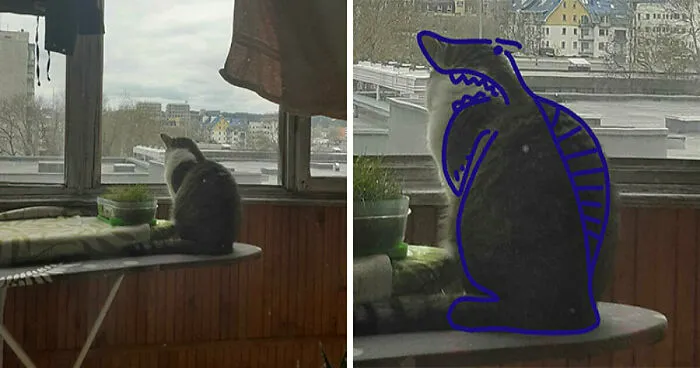 Hey Pandas, Photoshop Your Pets To Make Them Look Weird (Closed)