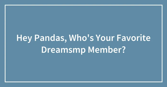 Hey Pandas, Who's Your Favorite Dreamsmp Member?