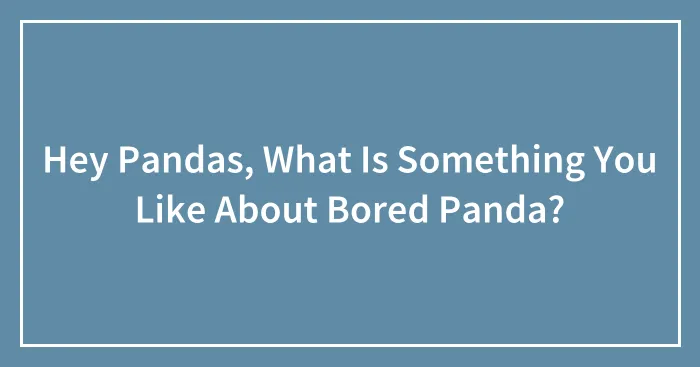 Hey Pandas, What Is Something You Like About Bored Panda? (Closed)