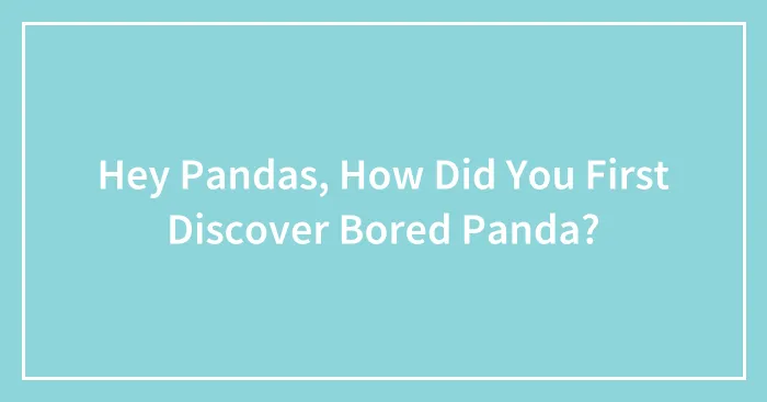 Hey Pandas, How Did You First Discover Bored Panda? (Closed)