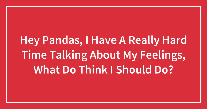 Hey Pandas, I Have A Really Hard Time Talking About My Feelings, What Do Think I Should Do? (Closed)