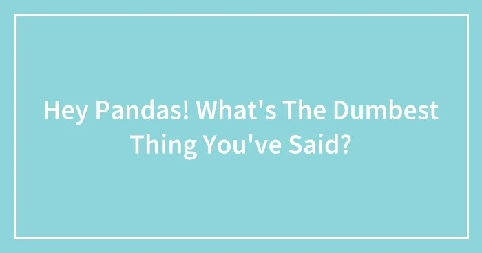 Hey Pandas! What's The Dumbest Thing You've Said?