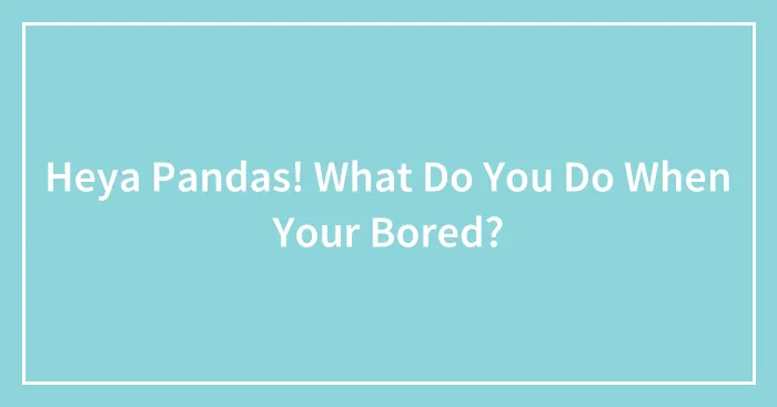 Heya Pandas! What Do You Do When Your Bored?