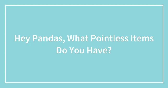 Hey Pandas, What Pointless Items Do You Have? (Closed)