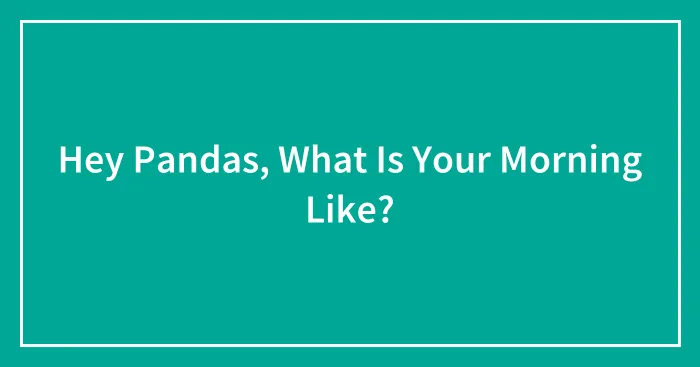 Hey Pandas, What Is Your Morning Like? (Closed)