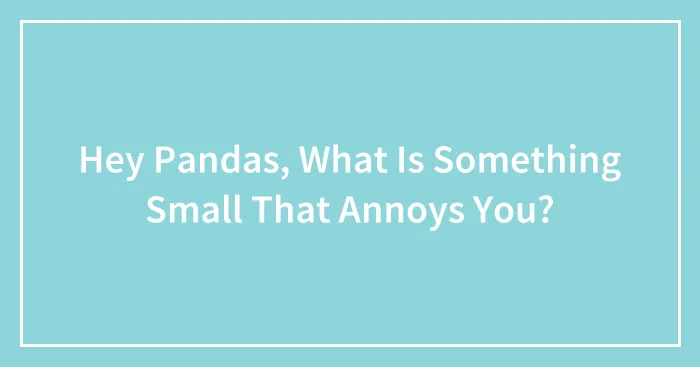 Hey Pandas, What Is Something Small That Annoys You? (Closed)