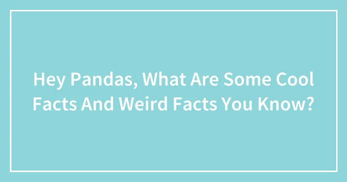 Hey Pandas, What Are Some Cool Facts And Weird Facts You Know? (Closed)