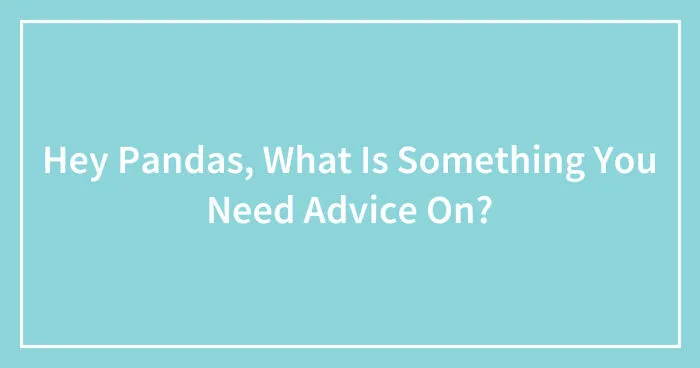Hey Pandas, What Is Something You Need Advice On? (Closed)