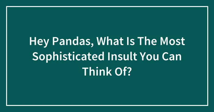 Hey Pandas, What Is The Most Sophisticated Insult You Can Think Of? (Closed)