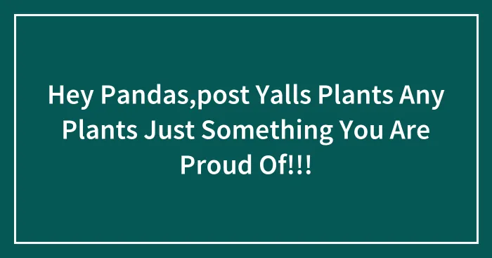 Hey Pandas,post Yalls Plants Any Plants Just Something You Are Proud Of!!!