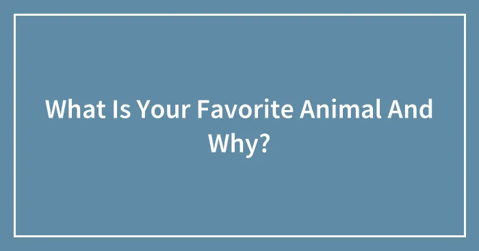 What Is Your Favorite Animal And Why?