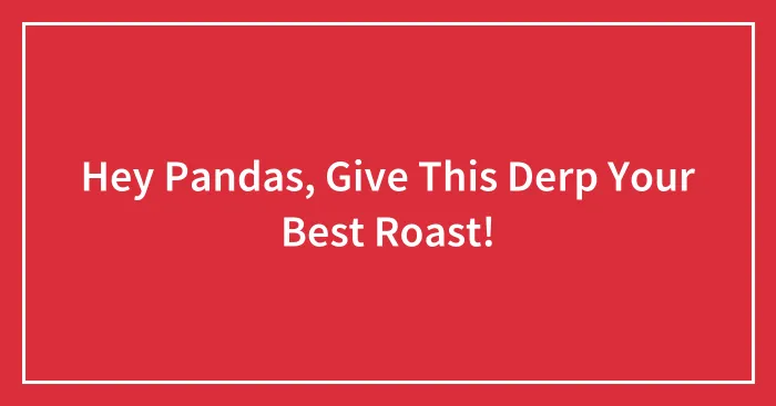 Hey Pandas, Give This Derp Your Best Roast!