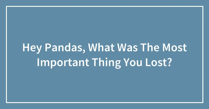 Hey Pandas, What Was The Most Important Thing You Lost? (Closed)