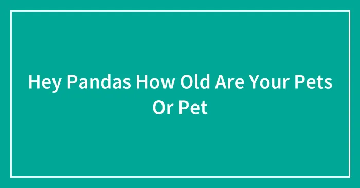 Hey Pandas How Old Are Your Pets Or Pet