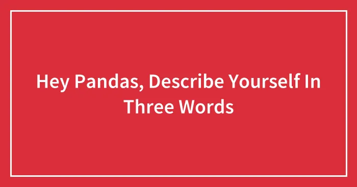 Hey Pandas, Describe Yourself In Three Words (Closed)