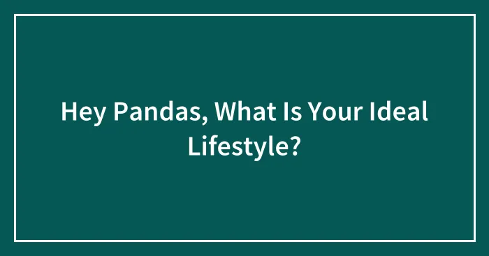 Hey Pandas, What Is Your Ideal Lifestyle? (Closed)