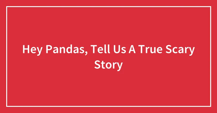 Hey Pandas, Tell Us A True Scary Story
