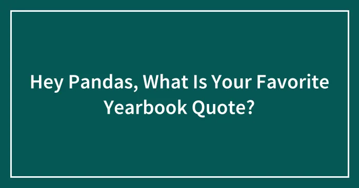 Hey Pandas, What Is Your Favorite Yearbook Quote? (Closed)