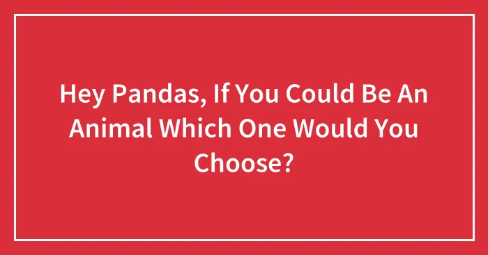 Hey Pandas, If You Could Be An Animal Which One Would You Choose? (Closed)