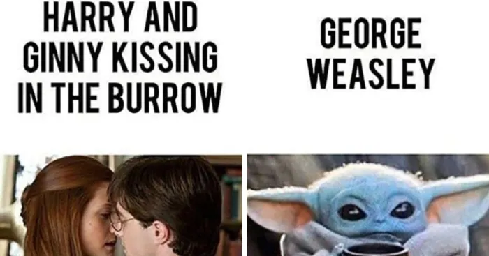 Hey Panda's, Show Me Your Greatest Harry Potter Or Twilight Memes (Closed)