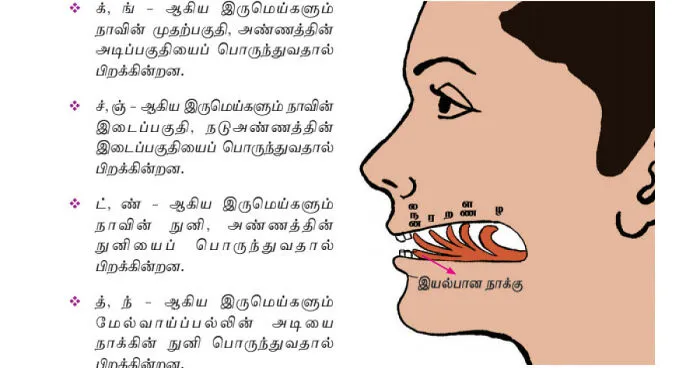 Hey Pandas, Share A Few Horrifying Or Weird Pictures From School Textbooks (Closed)