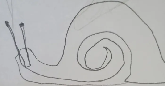Hey Pandas, Draw A Snail In One Continuous Line (Closed)