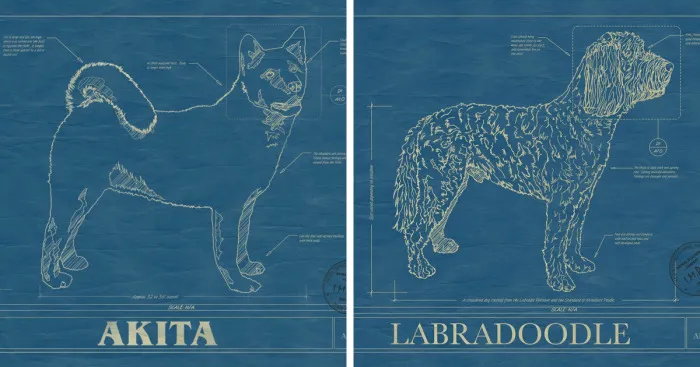 Here Are 5 Pics Of Dog Blueprint Art