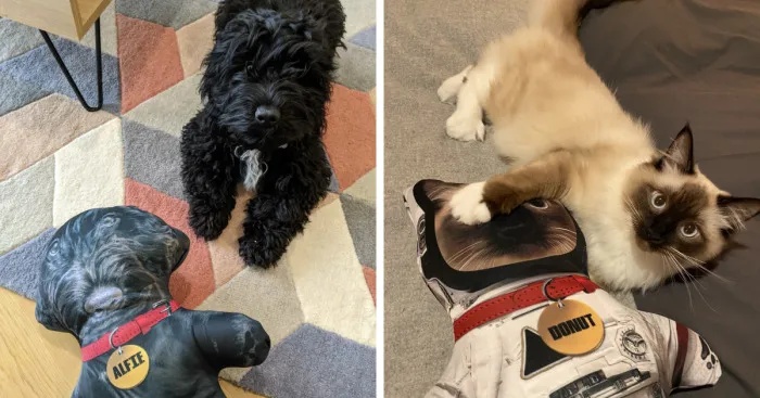 I Make Personalized Dolls Of Your Pets And The Results Are Totally Adorable