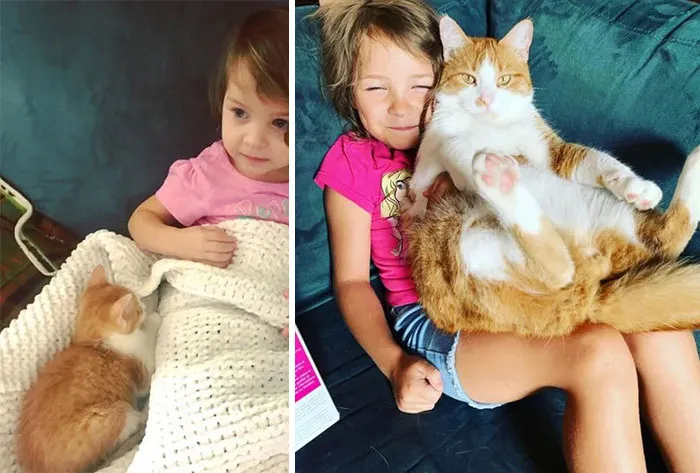 Kitten To Cat & Baby To Kid