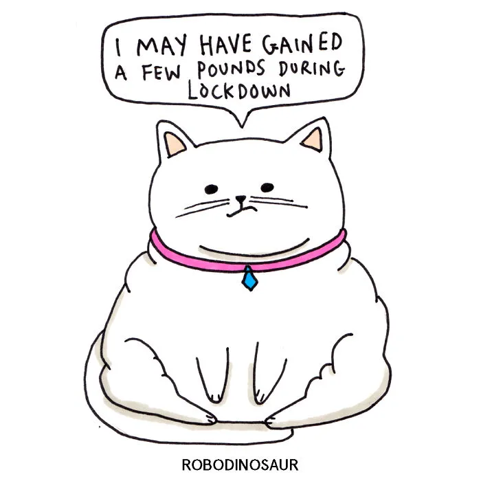 I Doodle Animals Saying Ridiculous Things