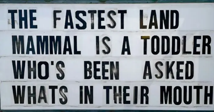50 Funny Signs By The Legendary Tex-Mex Restaurant, El Arroyo (New Pics)