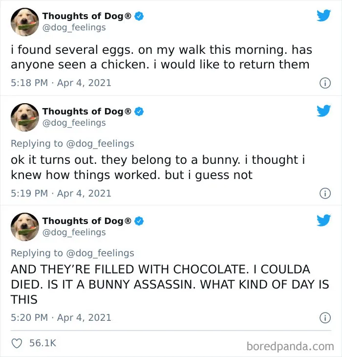 40 Of The Most Hilarious And Wholesome Dog Thoughts, As Shared By This Twitter Account (New Pics)