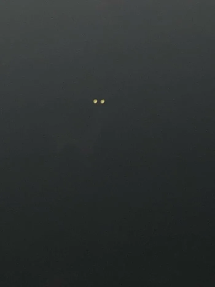 Took A Picture Of A Deer Today