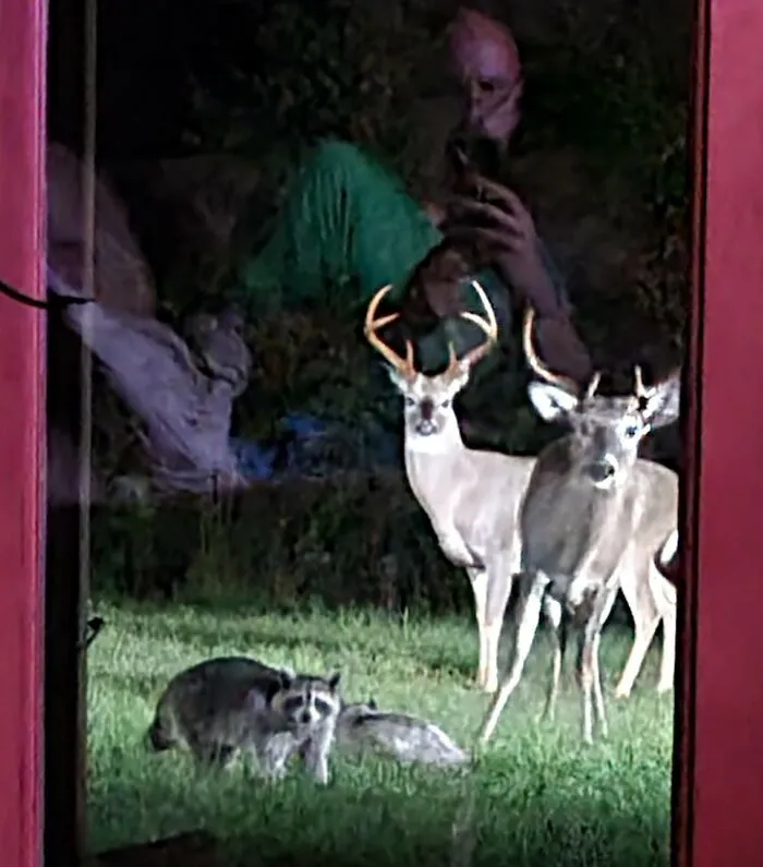 Selfie With Some Of Our Yard Animals