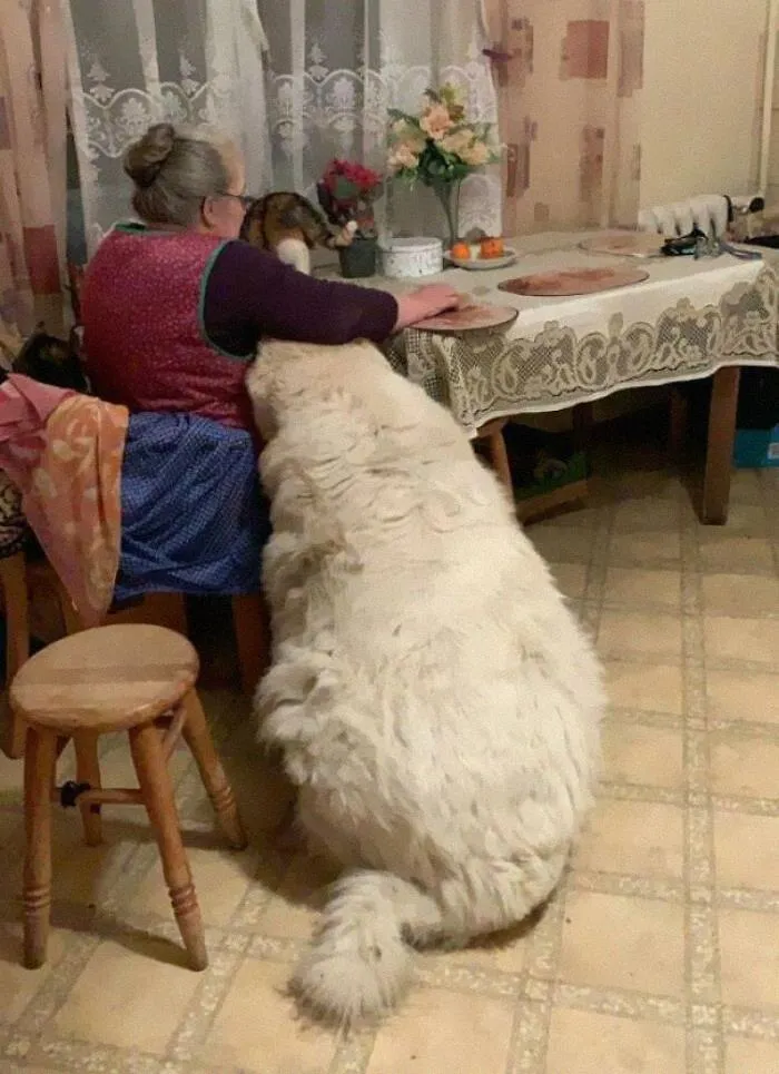 Esta cosita junto a mi abuela