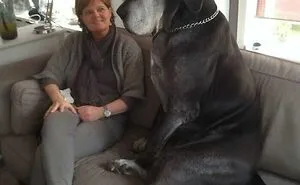 50 "Absolute Unit" Posts That Show Just How Big Things Can Get (New Pics)