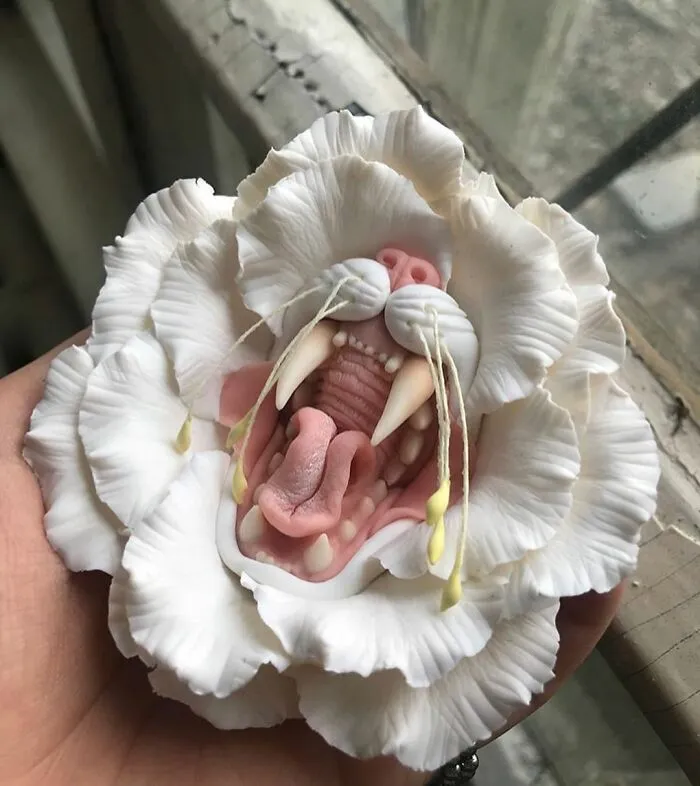 This Flower Cat Mouth Thing