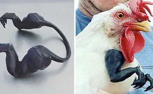 50 Times People Had Awful Taste But Executed Their Ideas Flawlessly (New Pics)