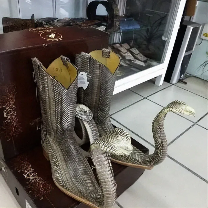 I Was Told You Guys Would Like This