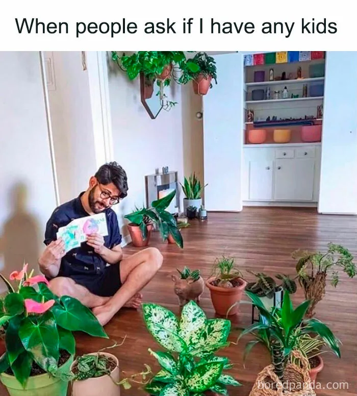 50 Of The Most Spot-On Memes That Sum Up What It's Like To Be Single