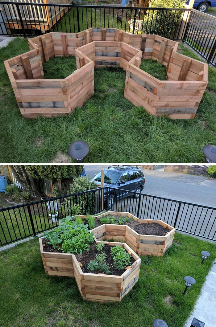 First Major Gardening Project - Hexagonal Garden Beds